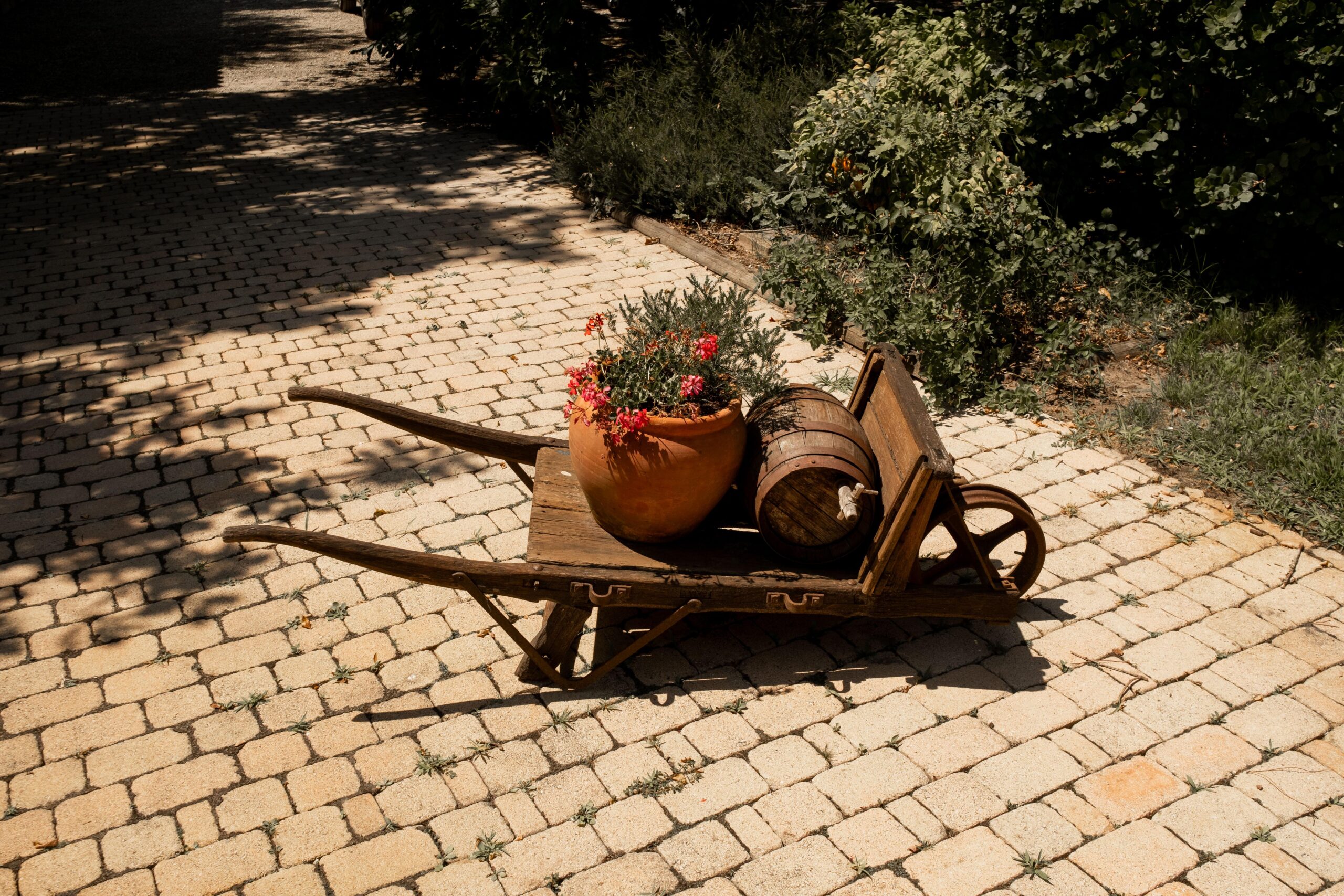 Le Domaine de Petiosse, un écrin de verdure au cœur des Landes, entre pins, prairies et charme boisé.